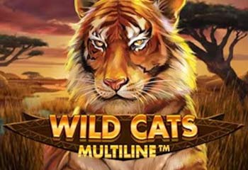 Wild Cats Multiline