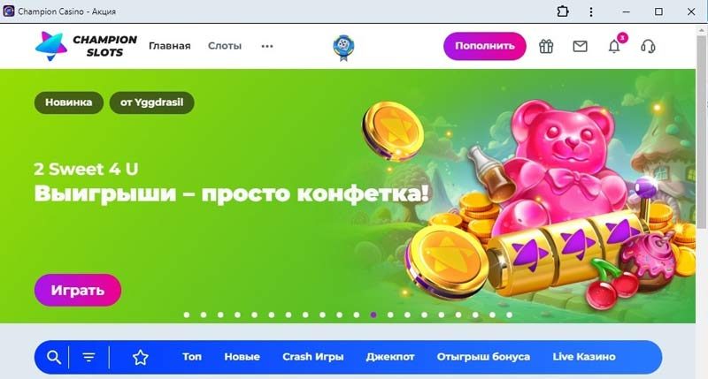 Внешний вид